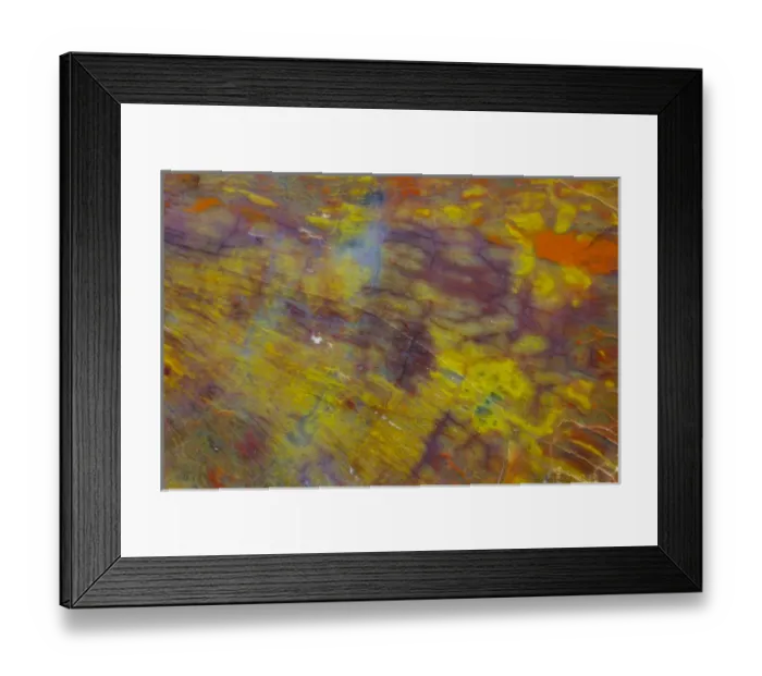 Framed Print : Petrified Wood close-up Framed Print : Petrified Wood close-up