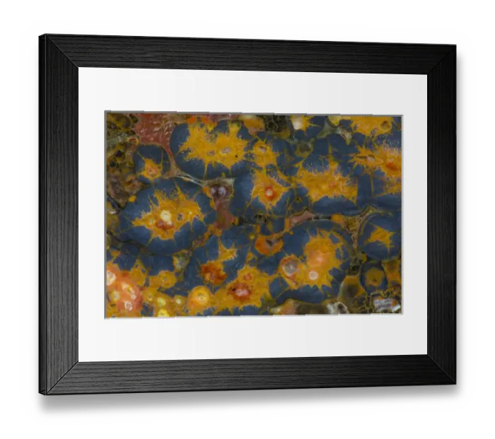 Framed Print : Poppy Jasper Framed Print : Poppy Jasper