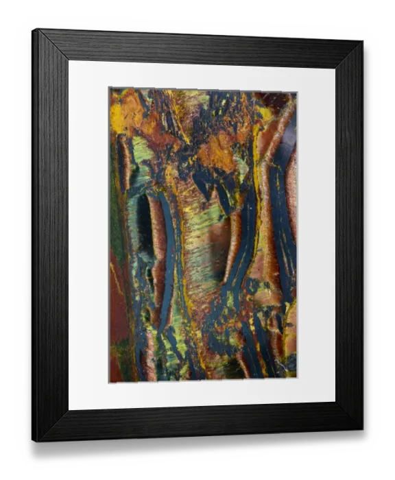 Framed Print : Tiger Eye Framed Print : Tiger Eye
