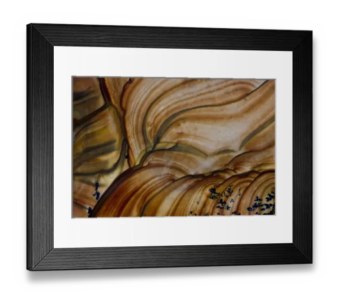 Framed Print : Deschutes Jasper from Oregon