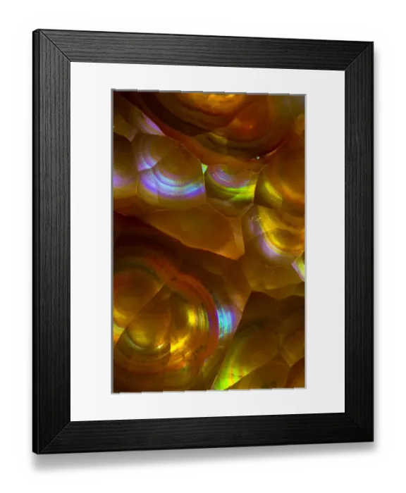 Framed Print : Fire Opal from Australia Framed Print : Fire Opal from Australia
