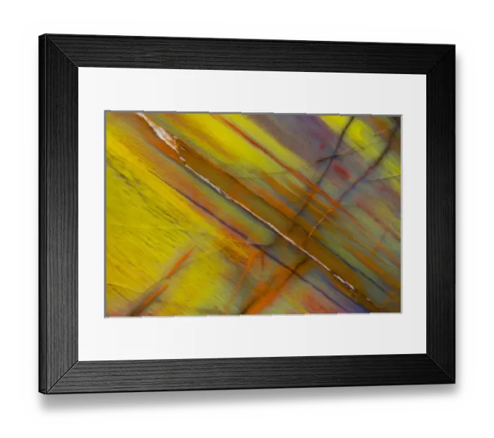 Framed Print : Petrified Wood close-up