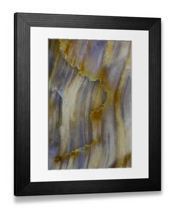 Framed Print : Petrified Wood close-up