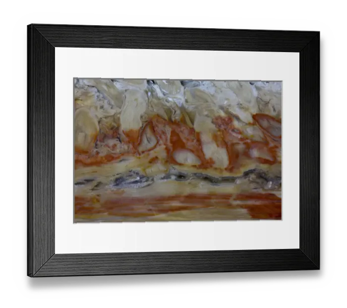 Framed Print : Petrified Wood close-up Framed Print : Petrified Wood close-up