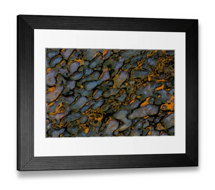 Framed Print : Colorful Petrified Dinosaur Bone