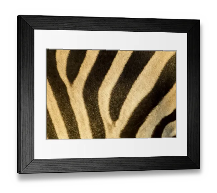 Framed Print : Africa, Botswana, Moremi Game Reserve, Close-up of stripes of Plains Zebra (Equus Framed Print : Africa, Botswana, Moremi Game Reserve, Close-up of stripes of Plains Zebra (Equus
