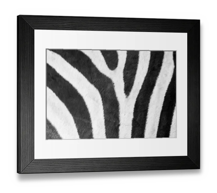 Framed Print : Africa, Botswana, Moremi Game Reserve, Close-up of stripes of Plains Zebra (Equus Framed Print : Africa, Botswana, Moremi Game Reserve, Close-up of stripes of Plains Zebra (Equus