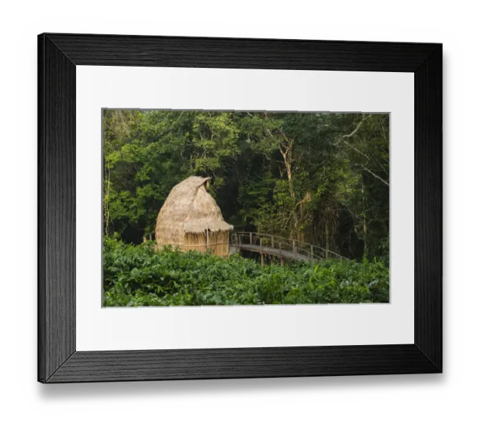 Framed Print : Guest cabin, Ngaga Camp, Republic of Congo (Congo - Brazzaville), AFRICA Framed Print : Guest cabin, Ngaga Camp, Republic of Congo (Congo - Brazzaville), AFRICA