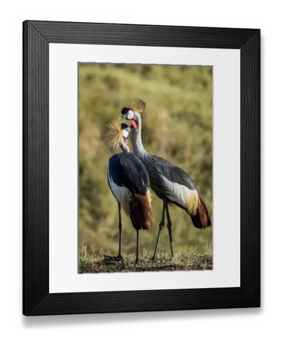Framed Print : East Africa, Kenya, Msai Mara National Reserve, Mara Conservancy, Mara Triangle