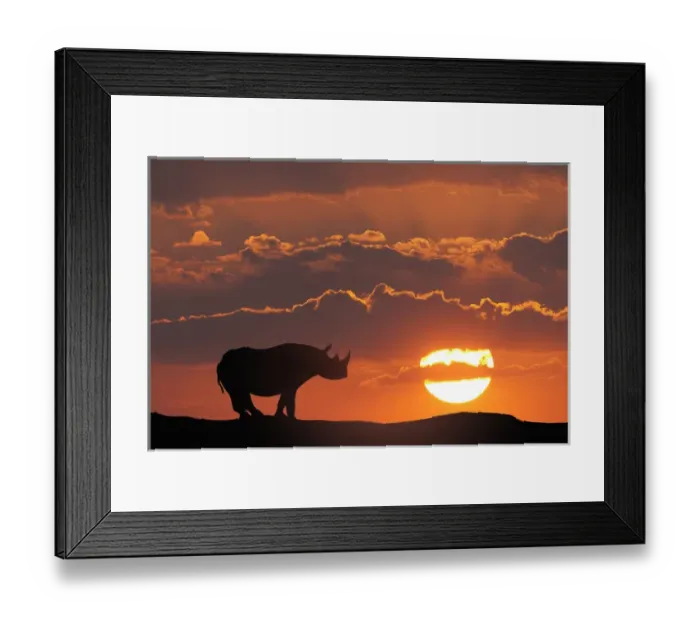 Framed Print : Africa, Kenya, Masai Mara Game Reserve. Composite of white rhino silhouette and sunset Framed Print : Africa, Kenya, Masai Mara Game Reserve. Composite of white rhino silhouette and sunset