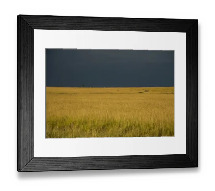 Framed Print : East Africa, Kenya, Msai Mara National Reserve, Mara Conservancy, Mara Triangle