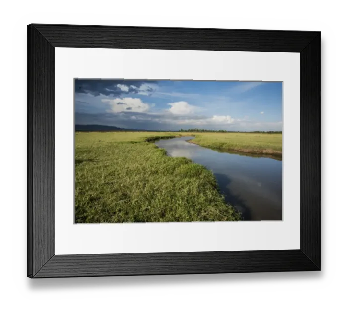 Framed Print : East Africa, Kenya, Msai Mara National Reserve, Mara Conservancy, Mara Triangle Framed Print : East Africa, Kenya, Msai Mara National Reserve, Mara Conservancy, Mara Triangle