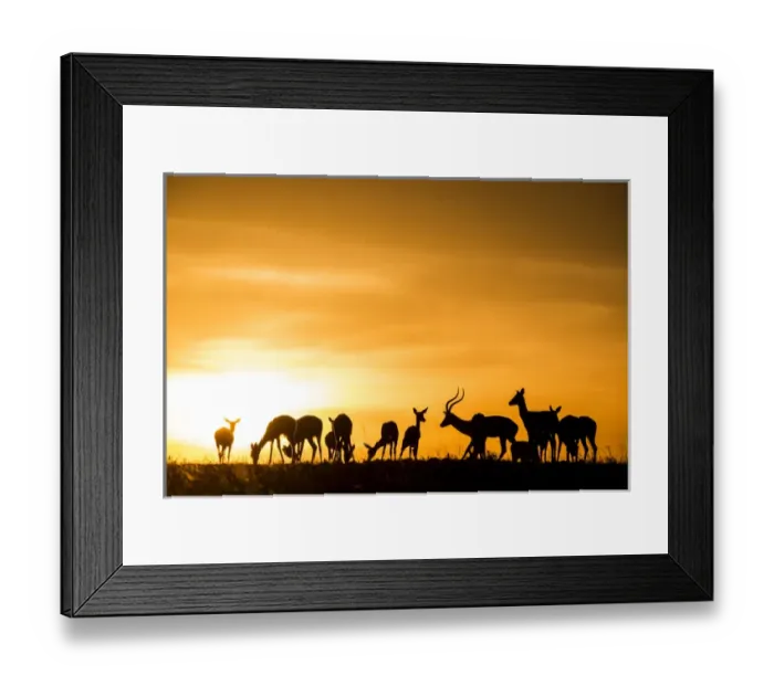 Framed Print : East Africa, Kenya, Msai Mara National Reserve, Mara Conservancy, Mara Triangle