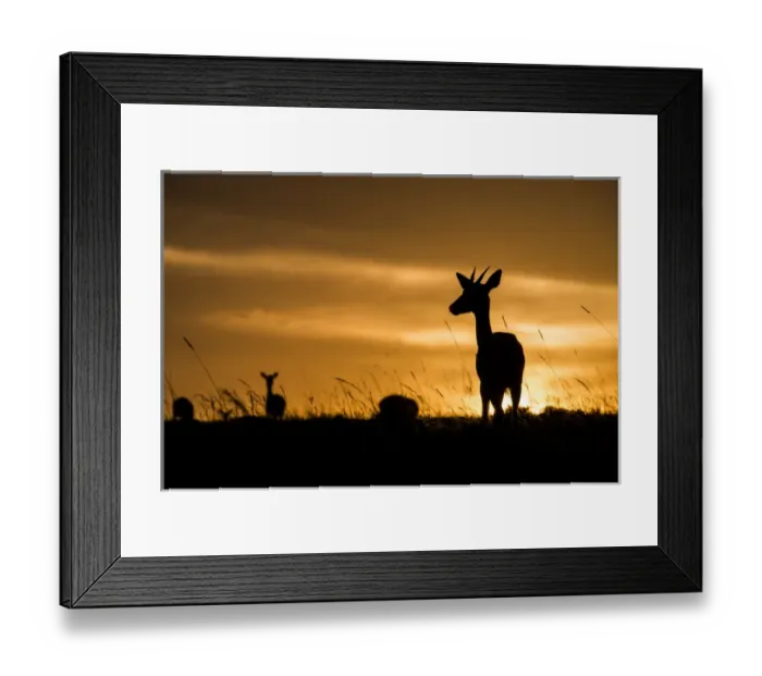 Framed Print : East Africa, Kenya, Msai Mara National Reserve, Mara Conservancy, Mara Triangle