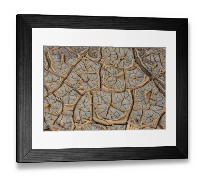 Framed Print : East Africa, Kenya, Nairobi, Langata, Hog Ranch, cracked, dry earth MR Framed Print : East Africa, Kenya, Nairobi, Langata, Hog Ranch, cracked, dry earth MR