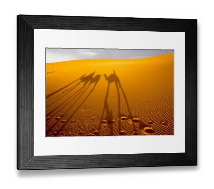 Framed Print : Africa, North Africa, Tafilalet, Erfoud, Merzouga, Erg Chebbi, late afternoon shadows of Dromedary Framed Print : Africa, North Africa, Tafilalet, Erfoud, Merzouga, Erg Chebbi, late afternoon shadows of Dromedary