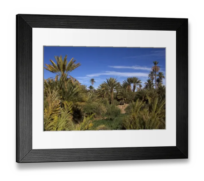 Framed Print : Africa, Morocco, Skoura. Palm Groves in Skoura desert Framed Print : Africa, Morocco, Skoura. Palm Groves in Skoura desert