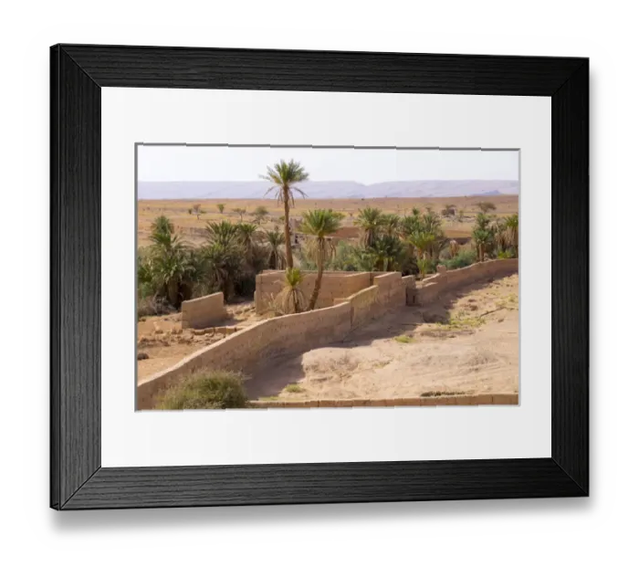 Framed Print : North Africa, Morocco, Southern Morocco, typical palm tree grove Framed Print : North Africa, Morocco, Southern Morocco, typical palm tree grove