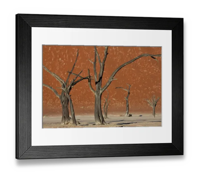 Framed Print : Dead trees in dry clay pan, Dead Vlei, Soussusvlei, Namibia, Africa Framed Print : Dead trees in dry clay pan, Dead Vlei, Soussusvlei, Namibia, Africa
