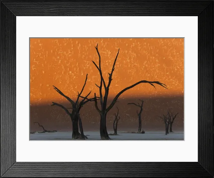 Framed Print : Dead trees in dry clay pan, Dead Vlei, Soussusvlei, Namibia, Africa