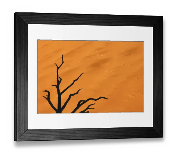 Framed Print : Africa, Namibia, Namib-Naukluft Park, Dead Vlei. Black tree branches against orange sand dune Framed Print : Africa, Namibia, Namib-Naukluft Park, Dead Vlei. Black tree branches against orange sand dune