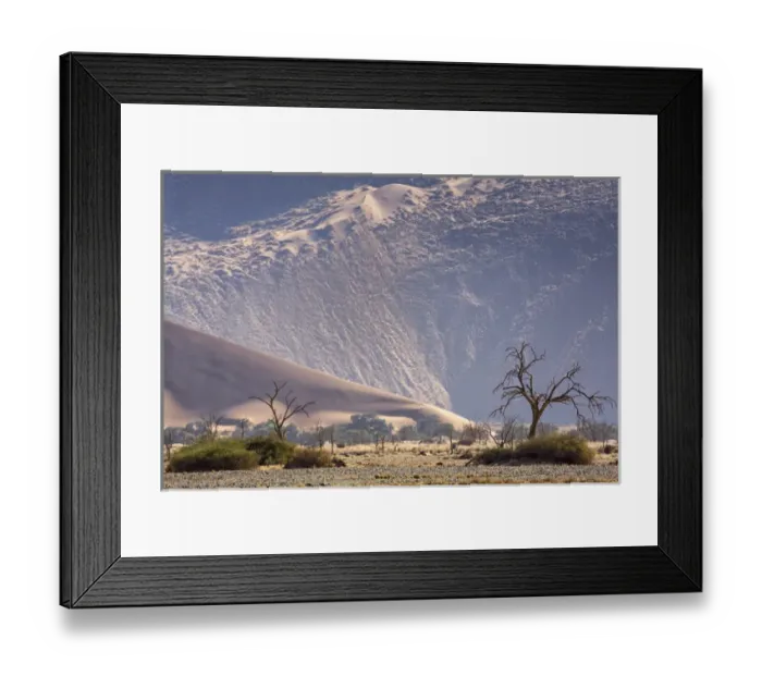 Framed Print : Africa, Namibia, Namib-Naukluft Park. Sand dunes and skeleton trees Framed Print : Africa, Namibia, Namib-Naukluft Park. Sand dunes and skeleton trees