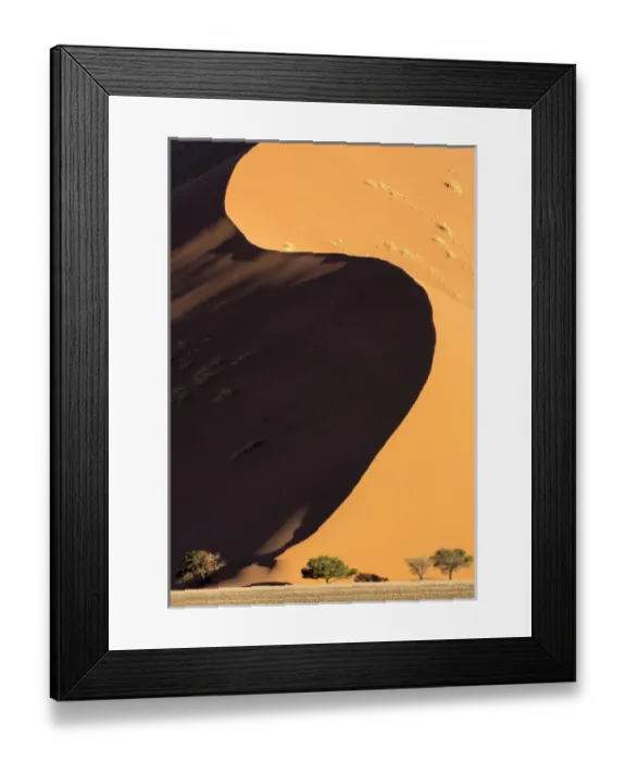 Framed Print : Africa, Namibia, Namib-Naukluft Park. Side-lit sand dune and trees