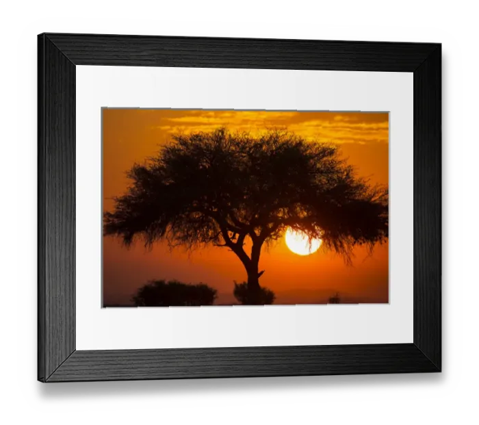 Framed Print : Etosha National Park, West Entrance; Nambiia, Africa Framed Print : Etosha National Park, West Entrance; Nambiia, Africa