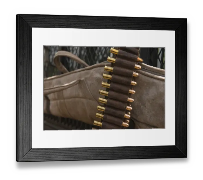 Framed Print : Elephant capture security weapon, used during an elephant relocation event, Zimbabwe Framed Print : Elephant capture security weapon, used during an elephant relocation event, Zimbabwe