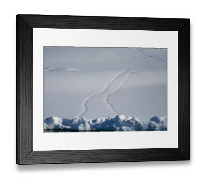 Framed Print : Antarctica. Antarctic Peninsula. near Adelaide Island Framed Print : Antarctica. Antarctic Peninsula. near Adelaide Island