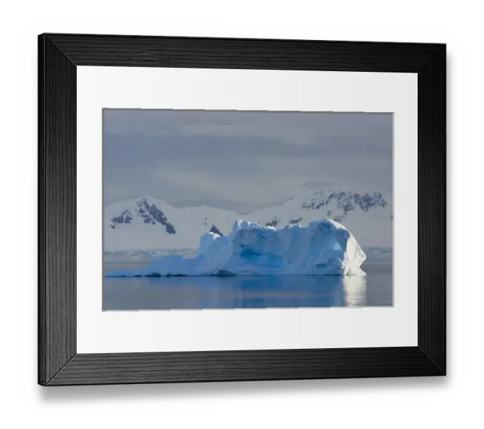 Framed Print : Antarctica. Antarctic Peninsula. Gerlache Strait. Blue iceberg