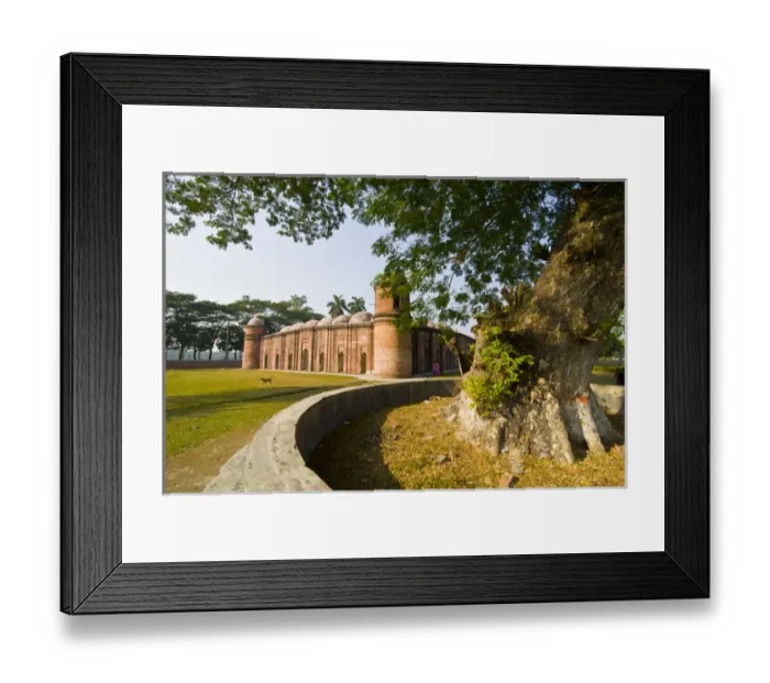 Framed Print : Unesco world heritage sight Bhagerat, Bangladesh, Asia