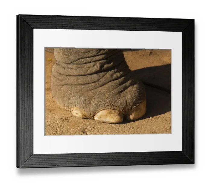 Framed Print : Myanmar. Shan State. Near Kalaw. Green Hill Valley Elephant Camp