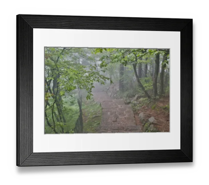 Framed Print : Trail in Fog Yellow Mountains a UNESCO World Heritage Site Framed Print : Trail in Fog Yellow Mountains a UNESCO World Heritage Site