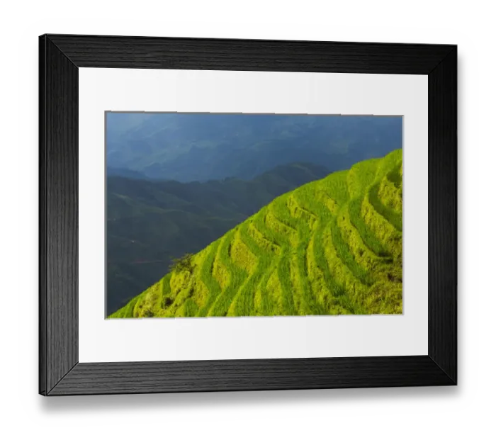 Framed Print : Rice terraces in the mountain, Longsheng, Guangxi Province, China