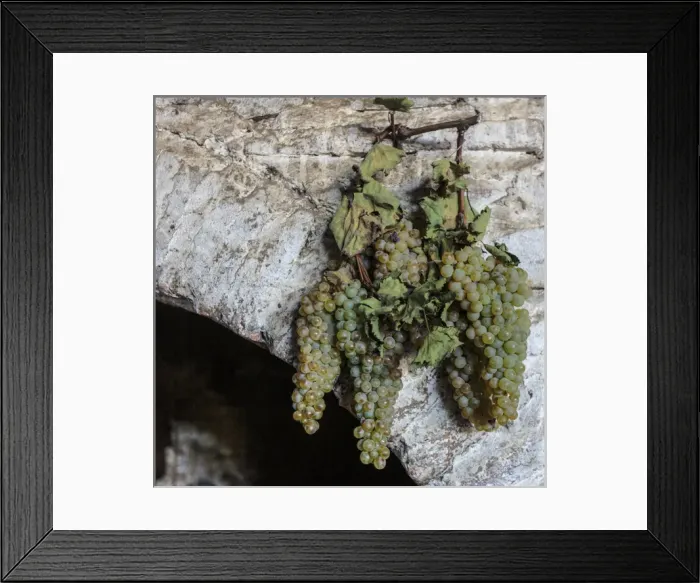 Framed Print : Georgia, Kakheti. Grapes hanging on an archway at a winery Framed Print : Georgia, Kakheti. Grapes hanging on an archway at a winery