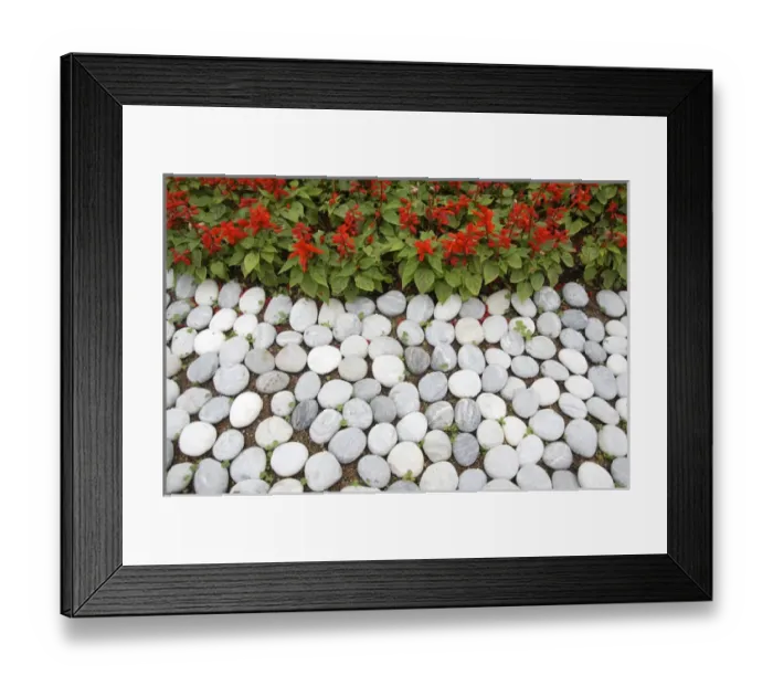 Framed Print : Hong Kong, Sai Kung, - pattern in rock garden Framed Print : Hong Kong, Sai Kung, - pattern in rock garden