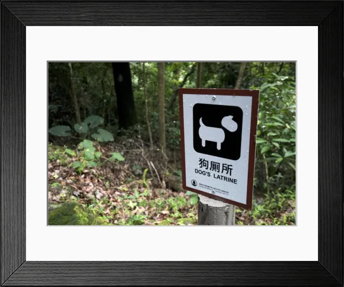 Framed Print : Hong Kong, Tai Po: Tai Po Kau Nature Park dog signage