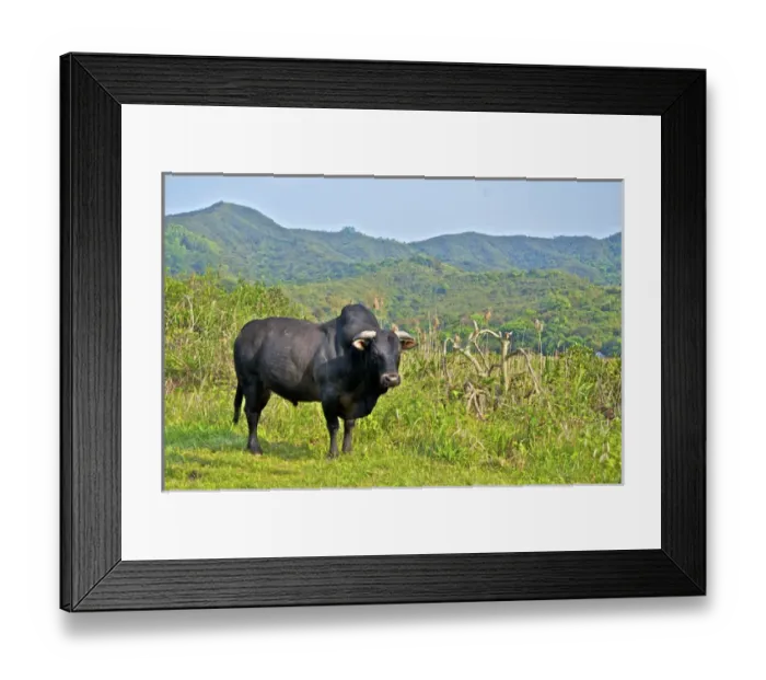 Framed Print : Hong Kong, Fanling: Luk Keng is an old Hakka village near Fanling, Hong Kong Framed Print : Hong Kong, Fanling: Luk Keng is an old Hakka village near Fanling, Hong Kong