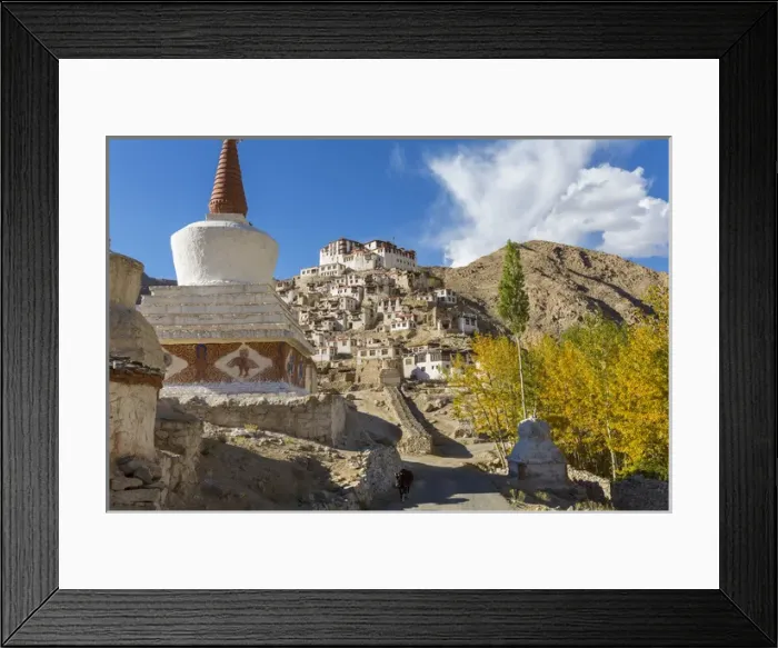 Framed Print : Chemrey Monastery & Village, Chemrey, nr Leh, Ladakh, India
