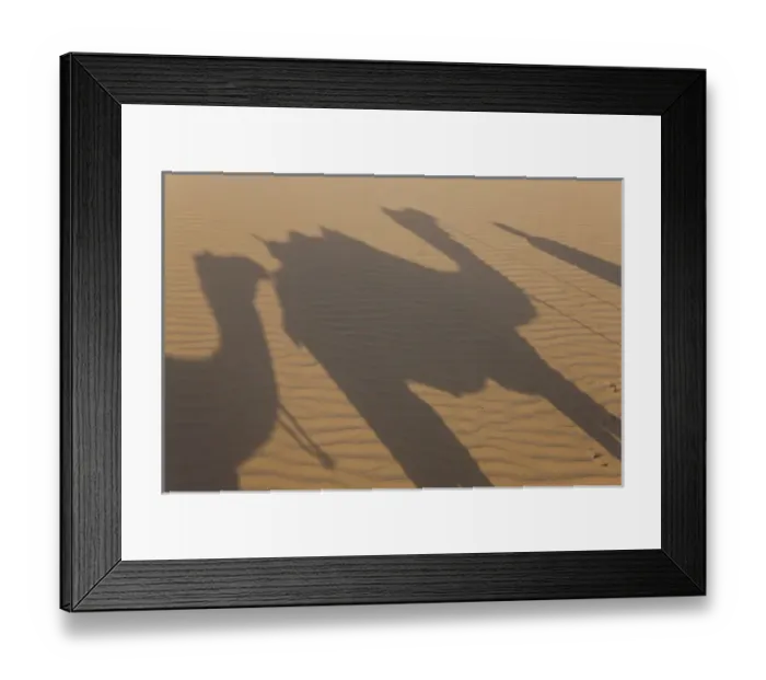 Framed Print : Shadows of a camel train, Thar Desert, Rajasthan, India Framed Print : Shadows of a camel train, Thar Desert, Rajasthan, India