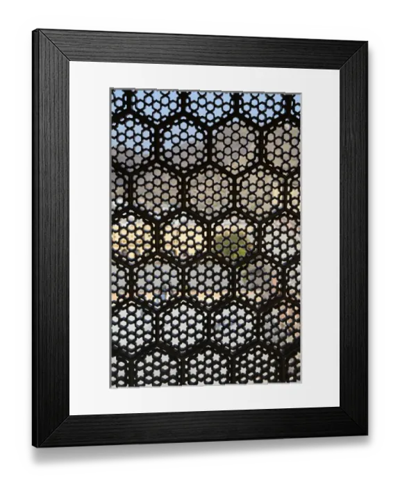 Framed Print : Asia, India, Amer. Lattice window screen at Amber Palace