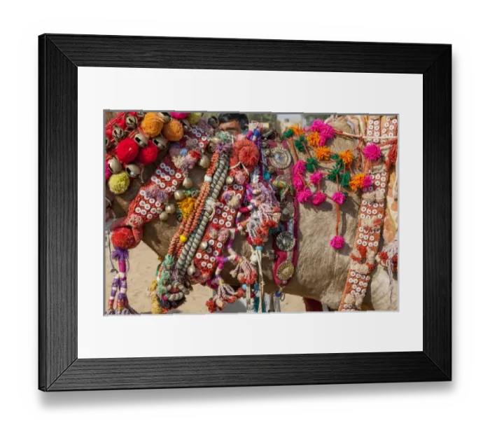 Framed Print : Military on decorated camels. Festival parade. Desert festival. Jaisalmer. Rajasthan