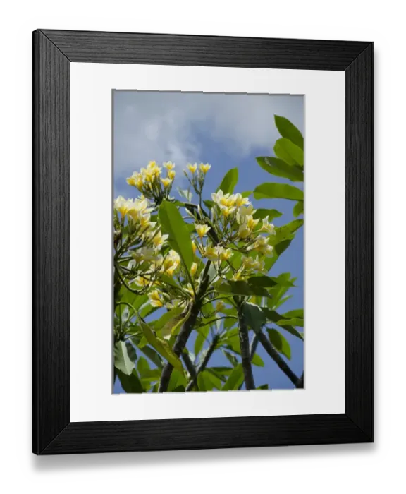 Framed Print : Indonesia, Island of Lombok, Lingsar. Lingsar Temple, unique Hindu shrine that welcomes Buddhist