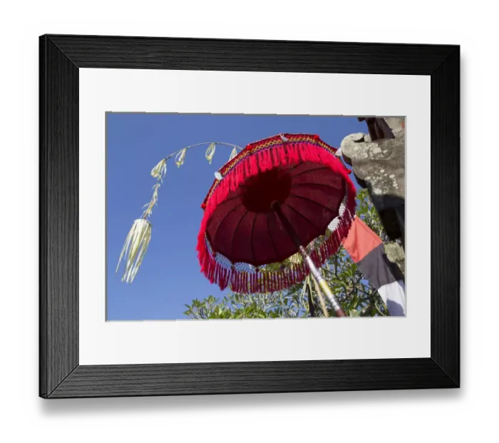 Framed Print : Asia, Indonesia, Bali. Balinese parasol adorned with white Spider Lily flower