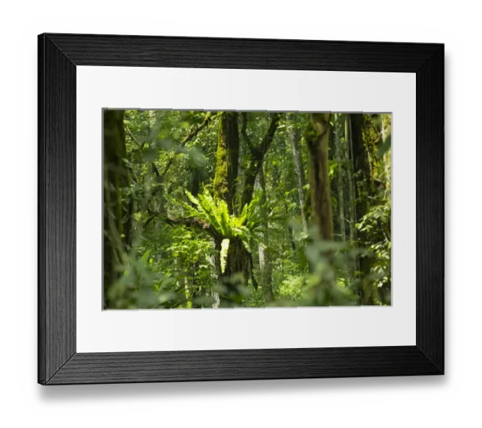 Framed Print : Asia, Indonesia, Bali. Eka Karya Botanic Garden, also known as Bali Botanic Garden Framed Print : Asia, Indonesia, Bali. Eka Karya Botanic Garden, also known as Bali Botanic Garden