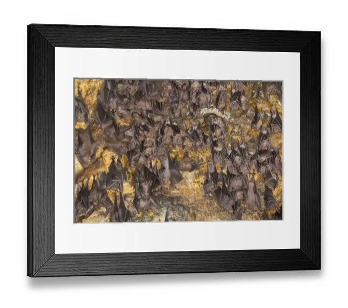 Framed Print : Asia, Indonesia, Bali. Pura Goa Lawah Temple of the Bat Caves, Bali, Indonesia