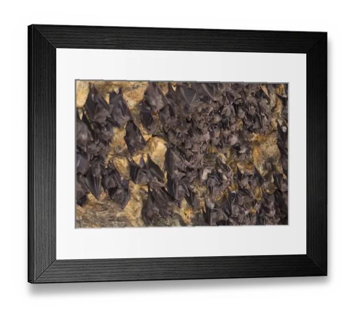 Framed Print : Asia, Indonesia, Bali. Pura Goa Lawah Temple of the Bat Caves, Bali, Indonesia Framed Print : Asia, Indonesia, Bali. Pura Goa Lawah Temple of the Bat Caves, Bali, Indonesia