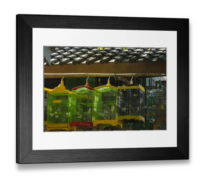 Framed Print : Bird cages at Ngasem Traditional Bird Market, Yogyakarta, Java, Indonesia Framed Print : Bird cages at Ngasem Traditional Bird Market, Yogyakarta, Java, Indonesia