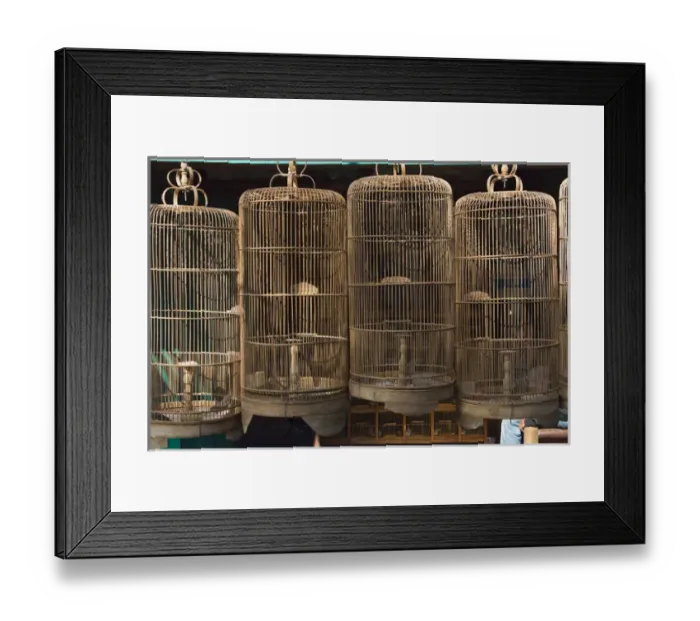 Framed Print : Bird cages at Ngasem Traditional Bird Market, Yogyakarta, Java, Indonesia Framed Print : Bird cages at Ngasem Traditional Bird Market, Yogyakarta, Java, Indonesia